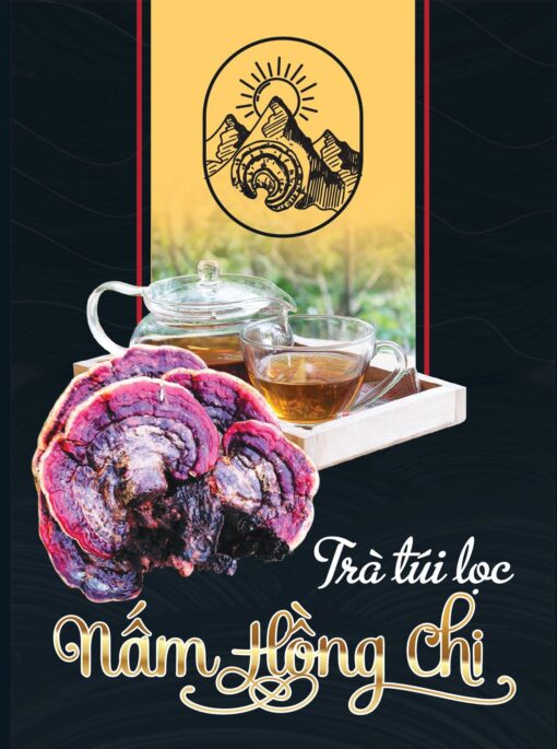 Trà Túi Lọc Nấm Hồng Chi - Hình ảnh 3