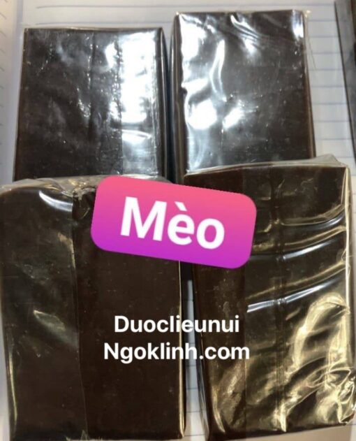 Cao Mèo