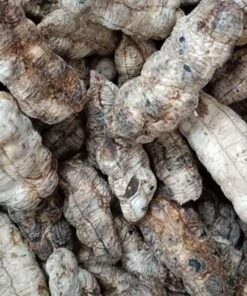 Chuối hột cô đơn