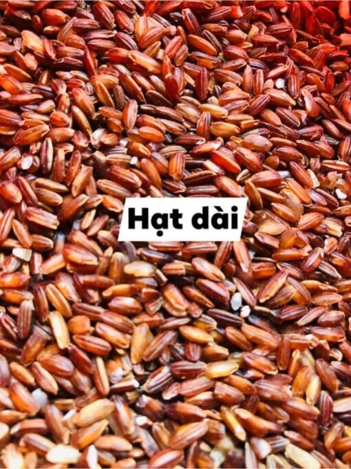 Gạo Đỏ