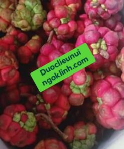 Na Rừng