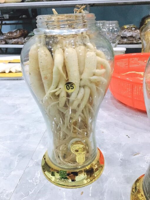 Rượu sâm dây - Hình ảnh 2
