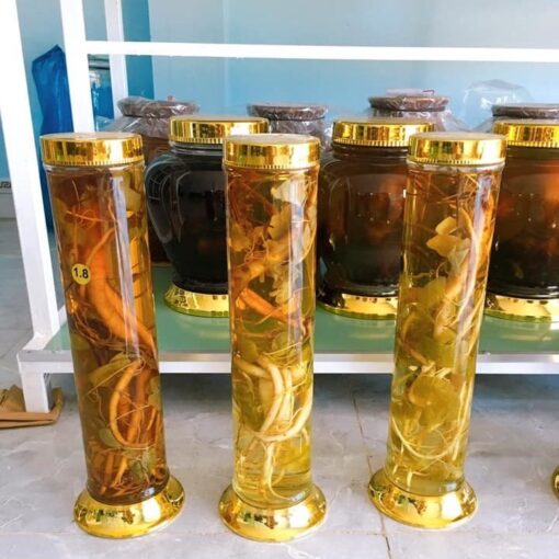 Rượu sâm dây