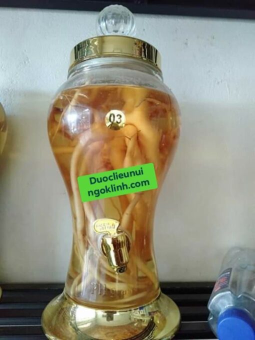 Rượu sâm dây - Hình ảnh 3