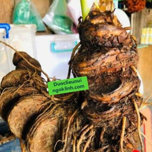 Thất Diệp Nhất Chi Hoa - Hình ảnh 4