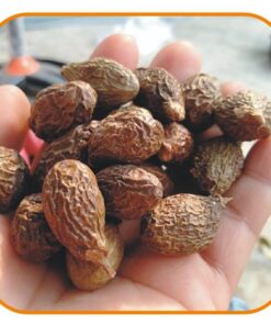 Hạt ươi