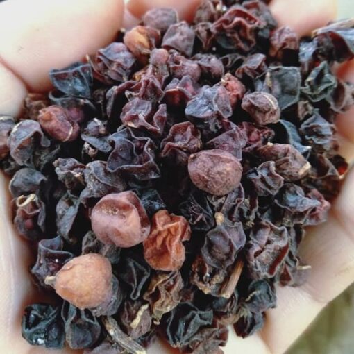 Ngũ Vị tử khô