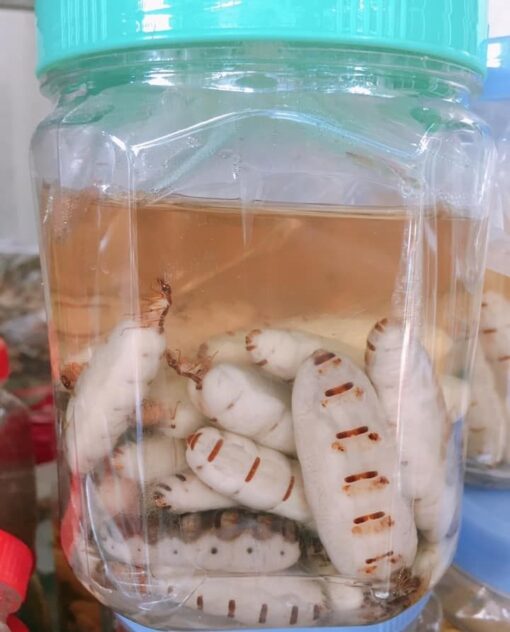 Rượu Mối Chúa